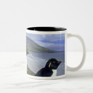 Rockhopper Penguins, (Eudyptes chrysocome), Two-Tone Coffee Mug