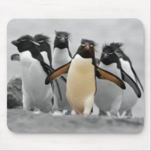 Rockhopper Penguins Mouse Mat