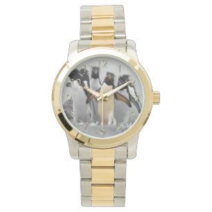 Rockhopper Penguins Watch