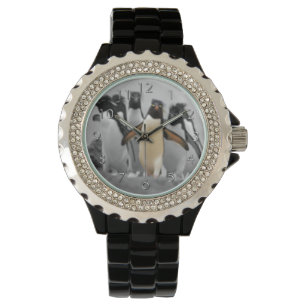 Rockhopper Penguins Watch