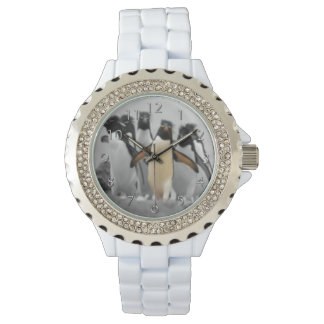 Rockhopper Penguins Watch