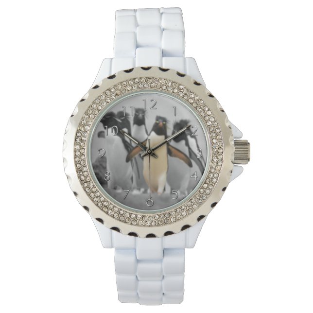 Rockhopper Penguins Watch (Front)