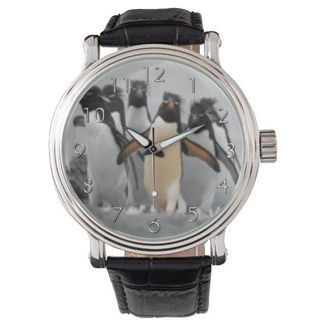 Rockhopper Penguins Watch (Front)