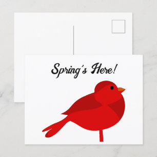 Rockin’ Robin, Cute Red Cardinal Nature Cartoon Postcard