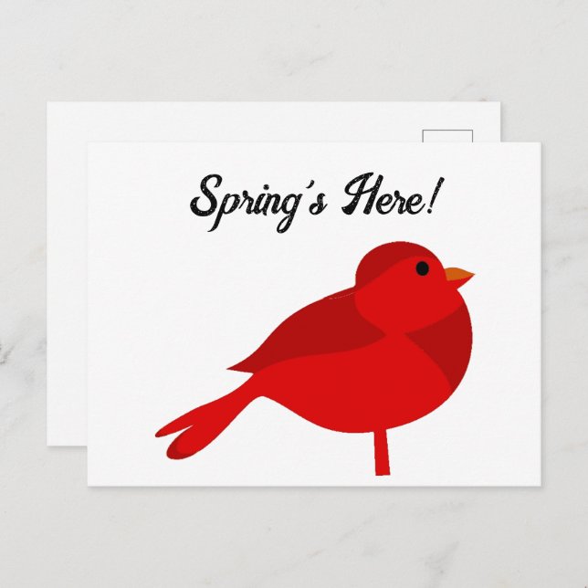 Rockin’ Robin, Cute Red Cardinal Nature Cartoon Postcard (Front/Back)