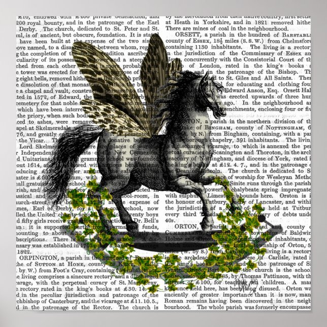 Rocking Horse Fly Poster (Front)