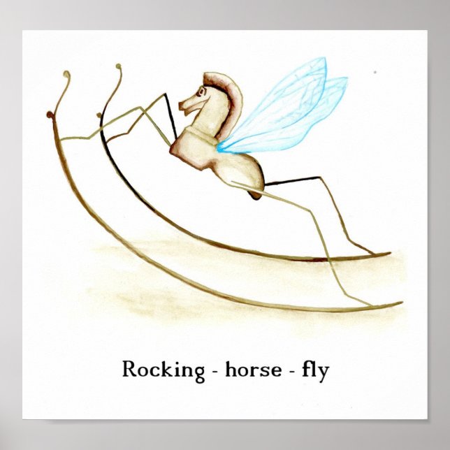 Rocking Horse Fly Poster (Front)