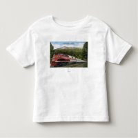 Rocking Mountain Rocket Train