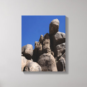 Rocks at Joshua Tree National Park Canvas Print