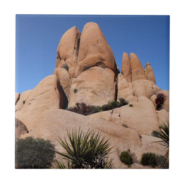 Rocks at Joshua Tree National Park Tile (Front)