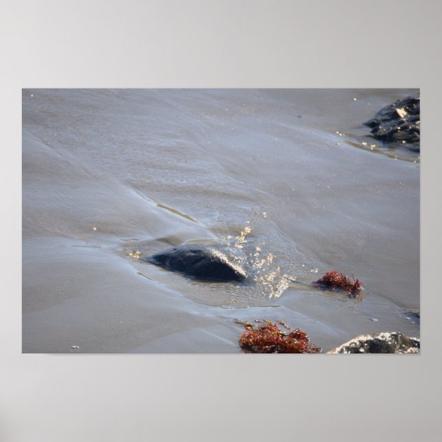 Rocks in the Ocean Poster (Front)