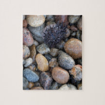 rocks