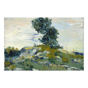 Rocks with Oak Tree, Van Gogh Oil Painting Photo Print
