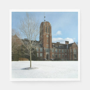 Rockwell in Winter at Grove City College Napkin
