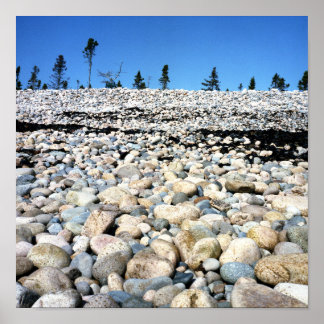 Rocky Beach Scene Poster