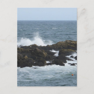 Rocky Coast in York Maine Postcard
