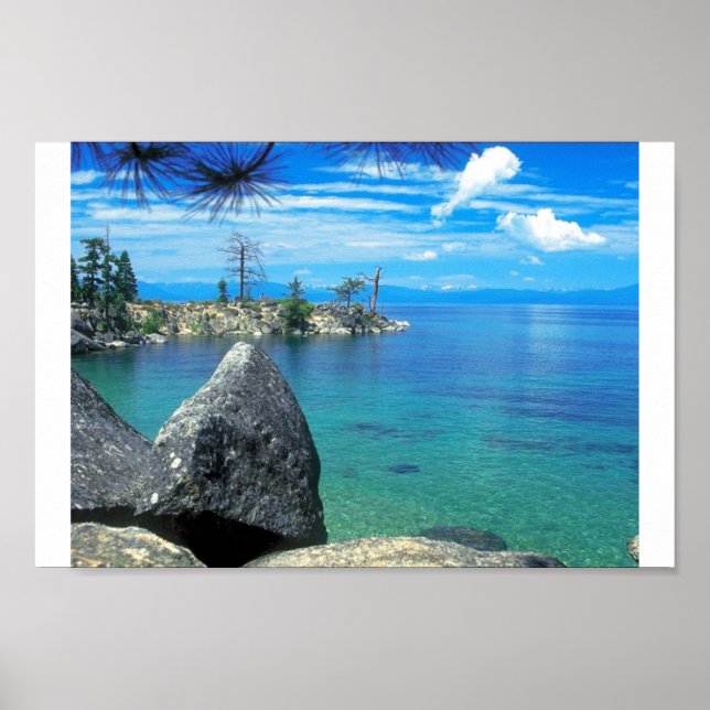 Rocky Cove Poster (Front)