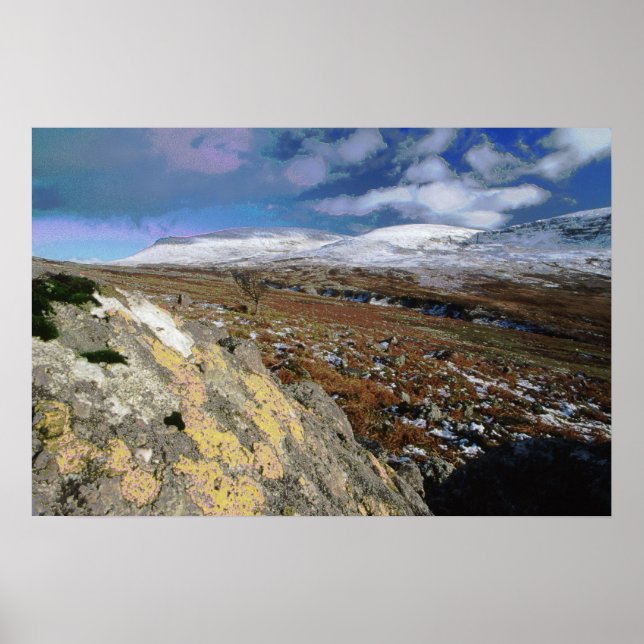 Rocky Field Poster (Front)