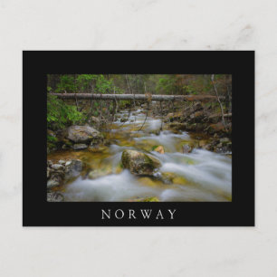 Rocky forest creek in Norway black postcard