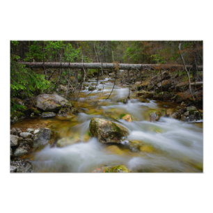 Rocky forest creek photo print