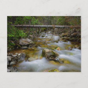 Rocky forest creek postcard