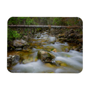 Rocky forest creek rectangular magnet