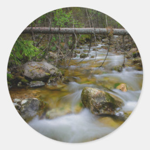 Rocky forest creek round sticker