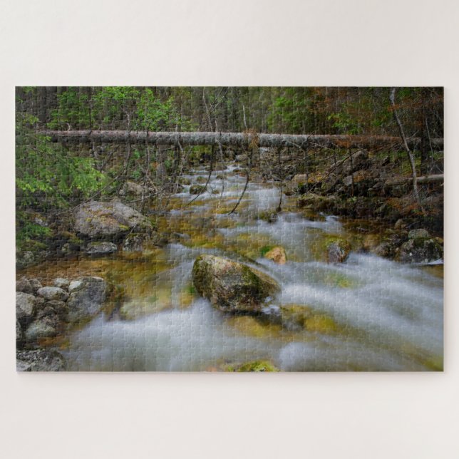 Rocky forest creek with motion blur water jigsaw puzzle (Horizontal)