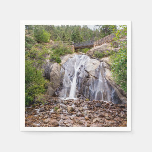 Rocky Helen Hunt Falls Paper Napkin