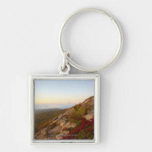 Rocky Hillside, Red Flowers, Acadia National Park Key Ring