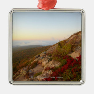 Rocky Hillside, Red Flowers, Acadia National Park Metal Tree Decoration