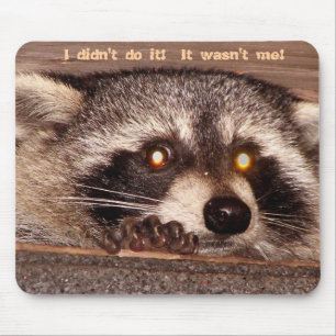 Rocky, I didn't do it!  It wasn't me! Mouse Mat
