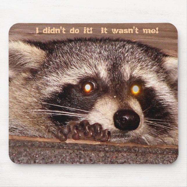 Rocky, I didn't do it!  It wasn't me! Mouse Mat (Front)