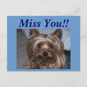 Rocky "Miss You!!" Postcard
