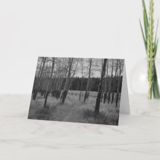 Rocky Mountain Aspen, Note card by Mark Easton