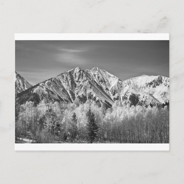 Rocky Mountain Autumn High In Black and White Postcard (Front)