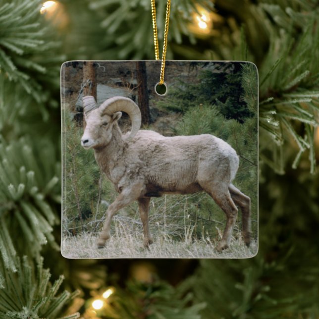 Rocky Mountain Big Horn Sheep Ceramic Ornament (Tree)