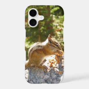 Rocky Mountain Chipmunk