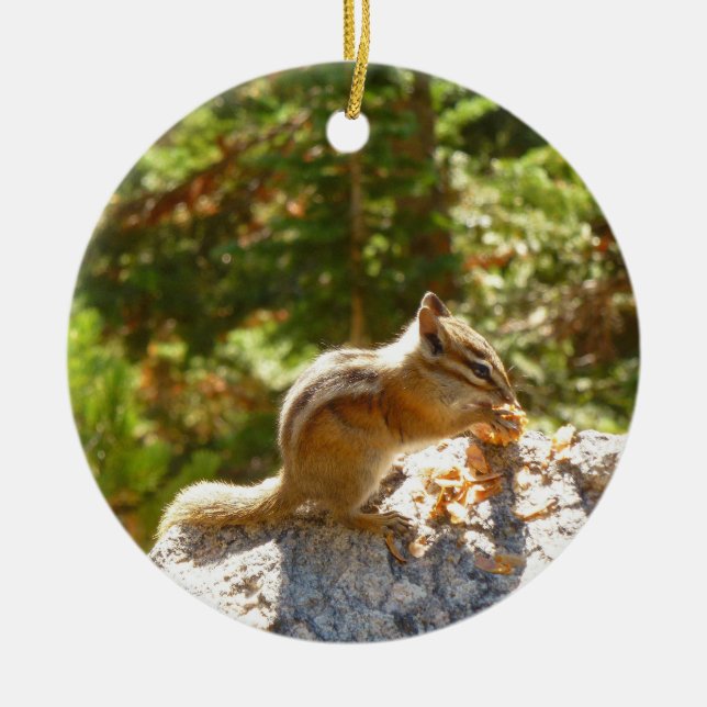 Rocky Mountain Chipmunk Ceramic Tree Decoration (Front)