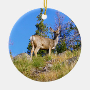 Rocky Mountain Deer Ceramic Tree Decoration