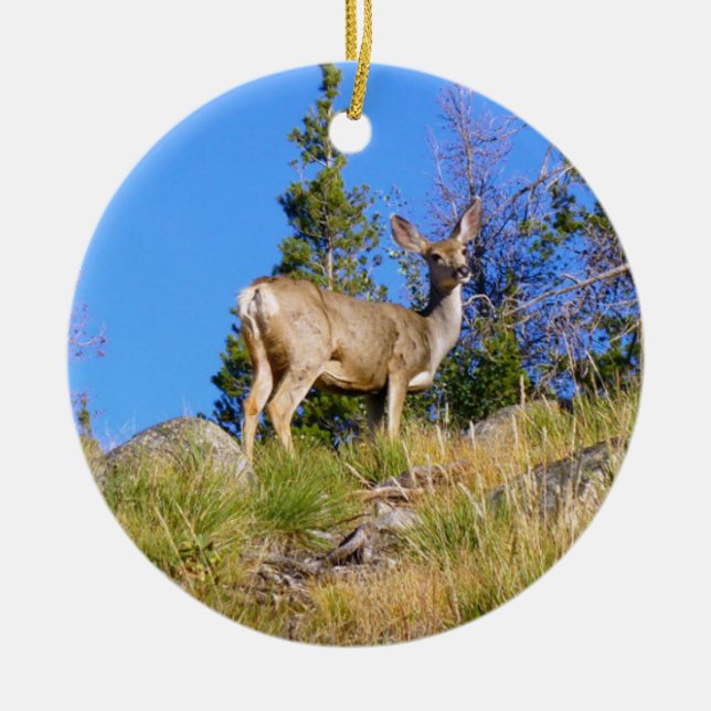 Rocky Mountain Deer Ceramic Tree Decoration (Front)
