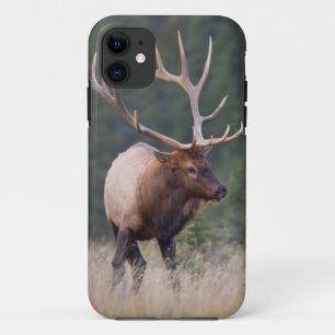Rocky Mountain Elk iPhone 11 Case