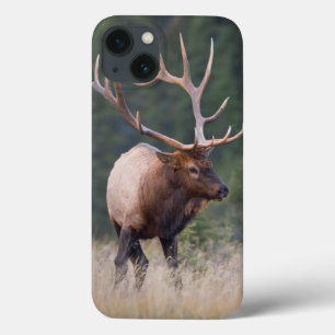 Rocky Mountain Elk iPhone 13 Case