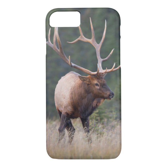Rocky Mountain Elk Case-Mate iPhone Case (Back)