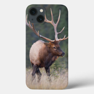 Rocky Mountain Elk iPhone 13 Case