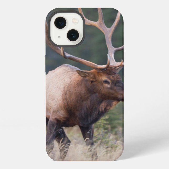 Rocky Mountain Elk iPhone Case (Back)