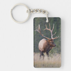 Rocky Mountain Elk Key Ring