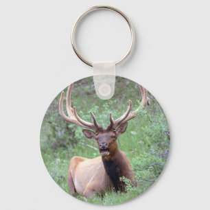 Rocky Mountain Elk Key Ring