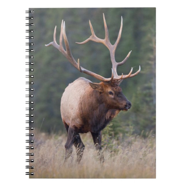 Rocky Mountain Elk Notebook (Front)
