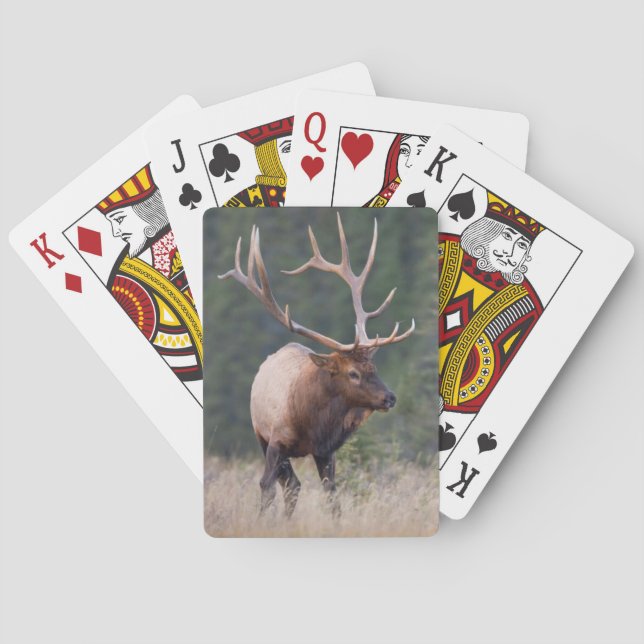 Rocky Mountain Elk Playing Cards (Back)